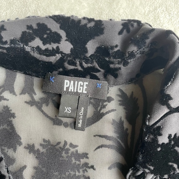 Page Sheer/ Velvet Button Down - Picture 2 of 5